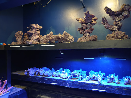 Tropical Fish Store «Aquarium Depot», reviews and photos, 8201 Auburn Blvd, Citrus Heights, CA 95610, USA