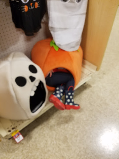 Pet Supply Store «PetSmart», reviews and photos, 1460 Koester Rd, Forsyth, IL 62535, USA