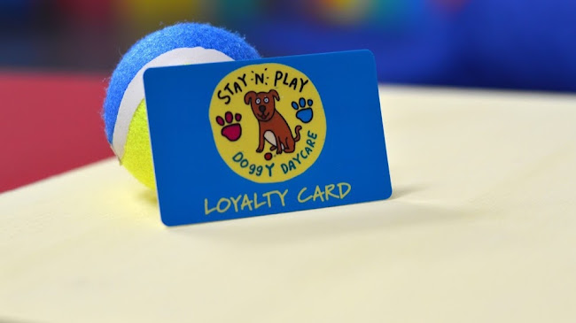 Stay N Play Doggy Daycare - Dog trainer