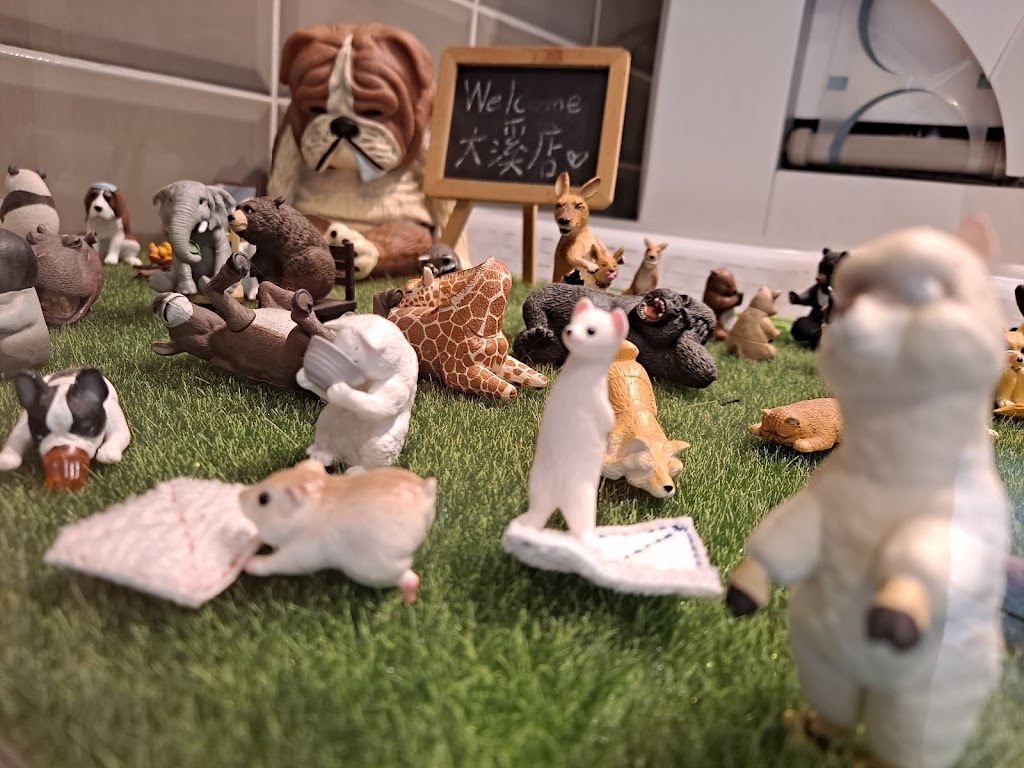 迷客夏Milksha 桃園大溪店 的照片