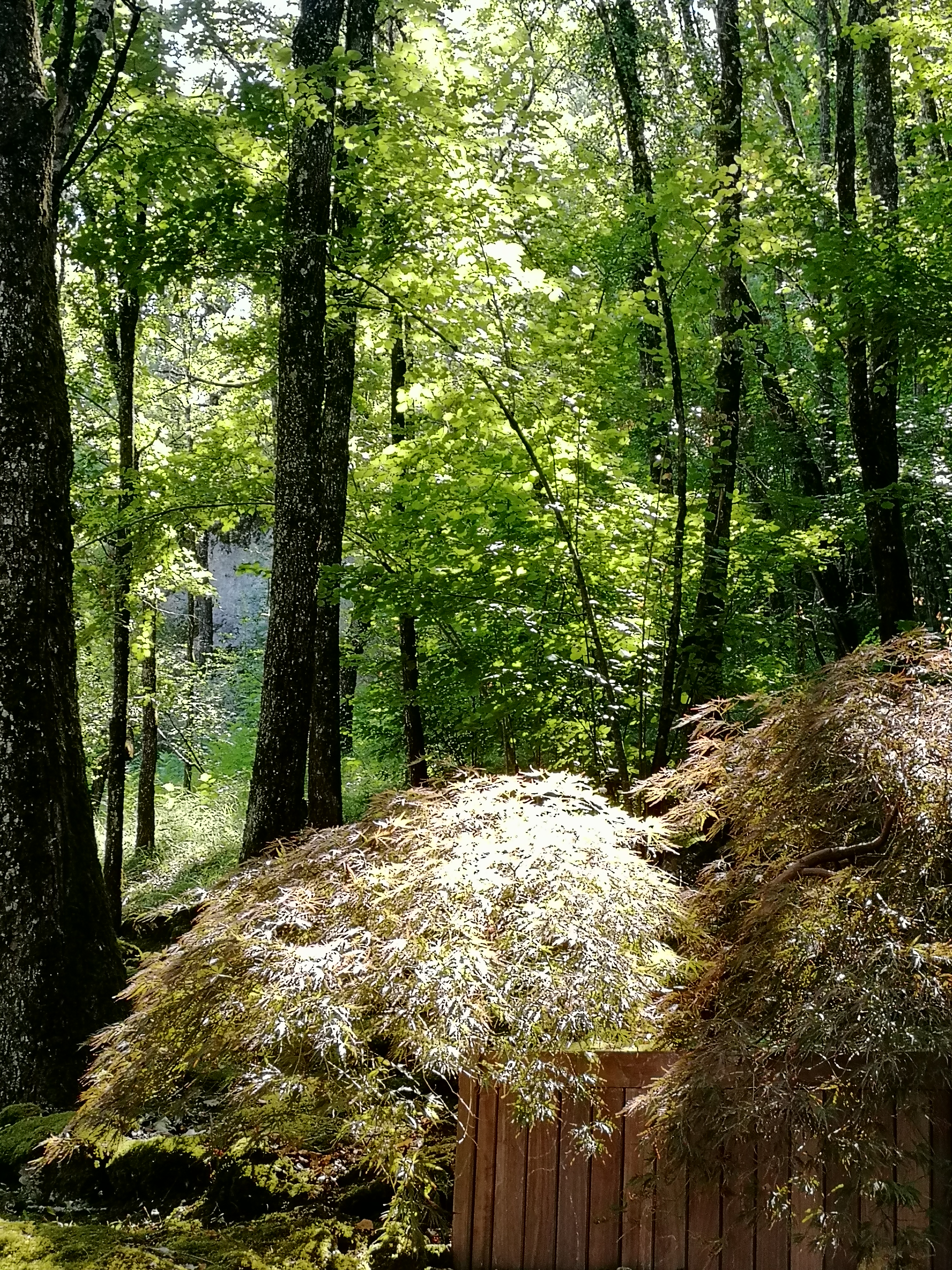 Photo n° 1 de l'avis de Eric.o fait le 31/08/2018 à 13:11
