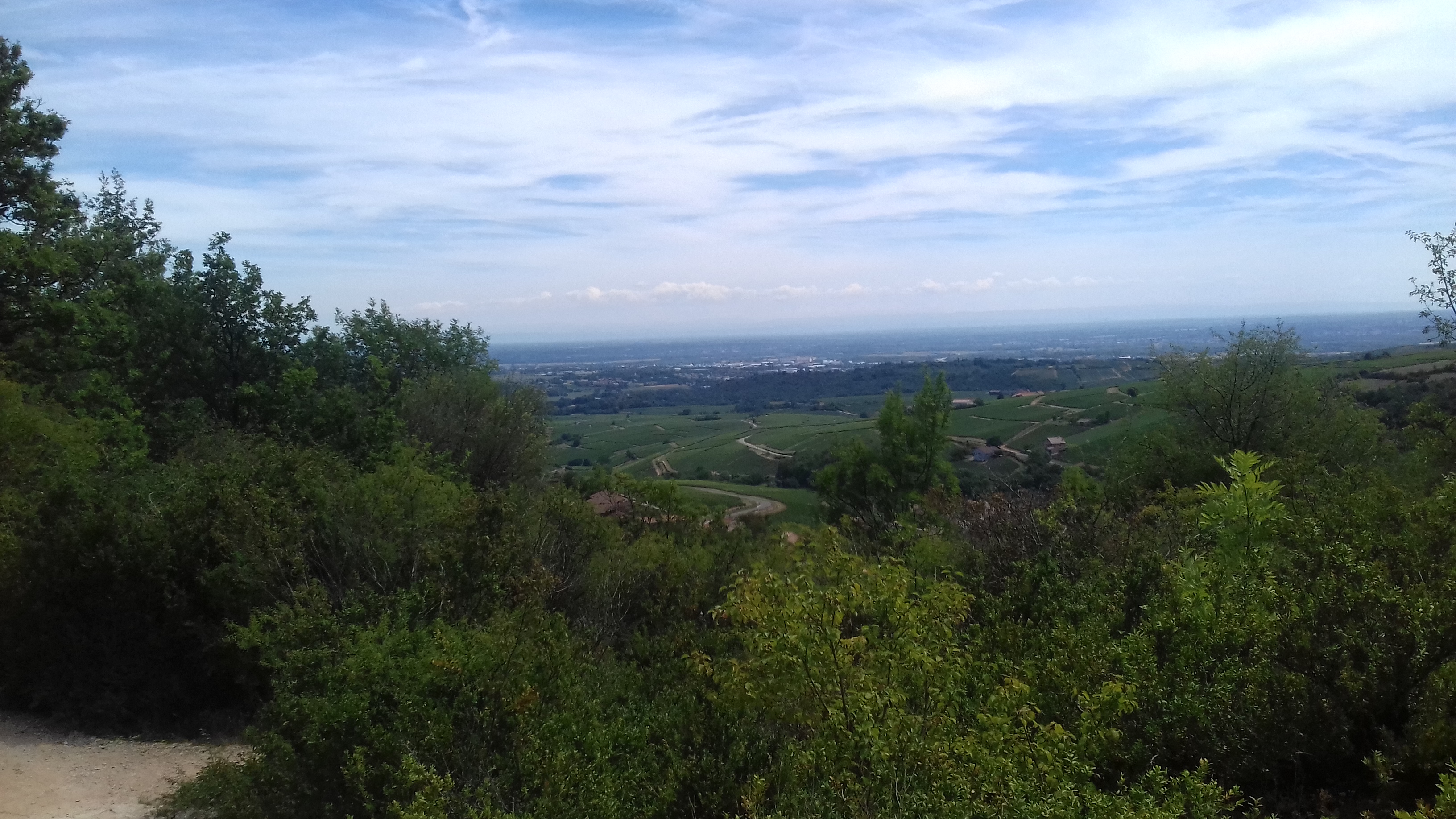 Photo n° 1 de l'avis de Damien.e fait le 21/08/2017 à 15:55