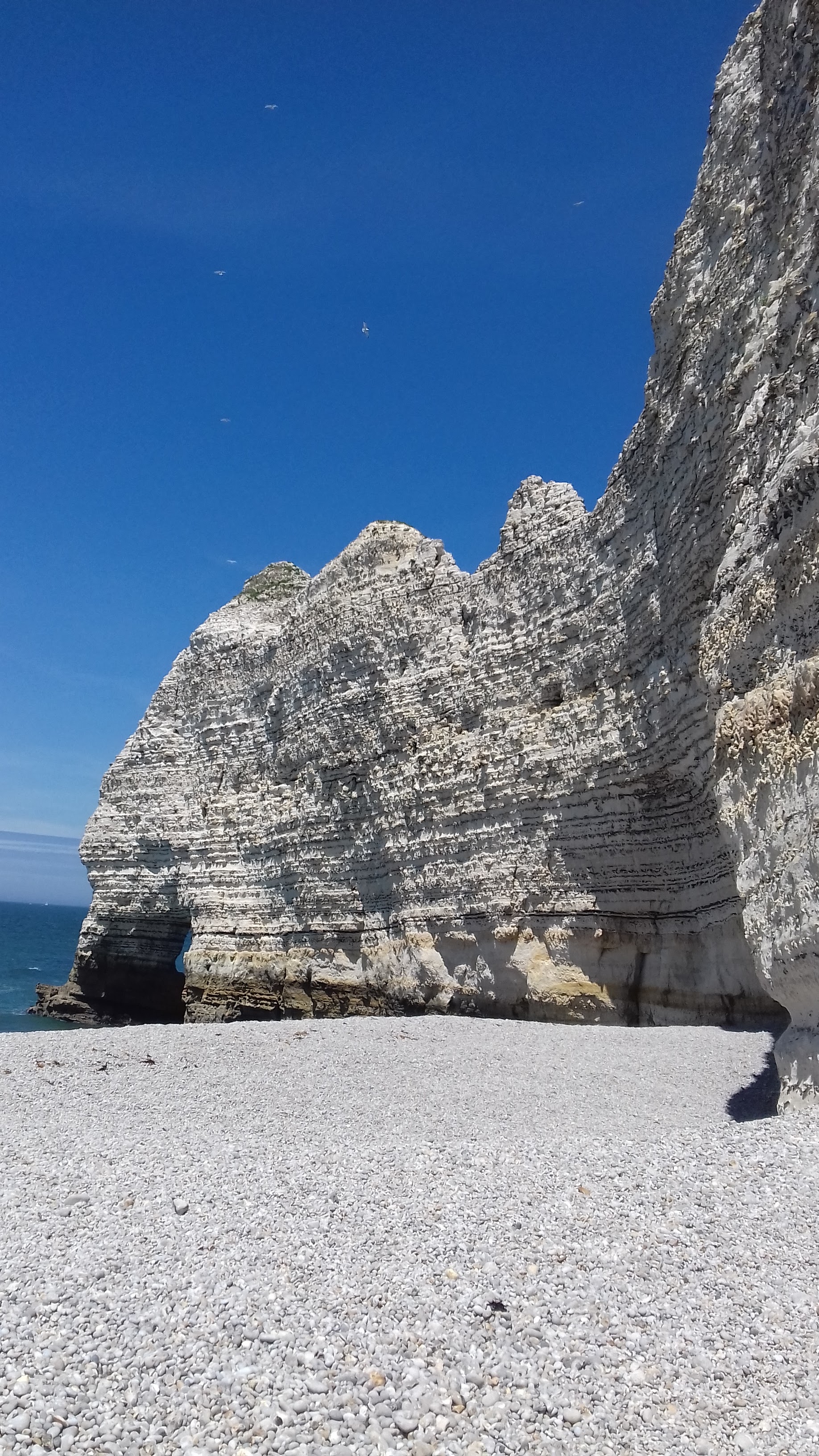 Photo n° 6 de l'avis de Famille.A fait le 30/05/2019 à 13:13