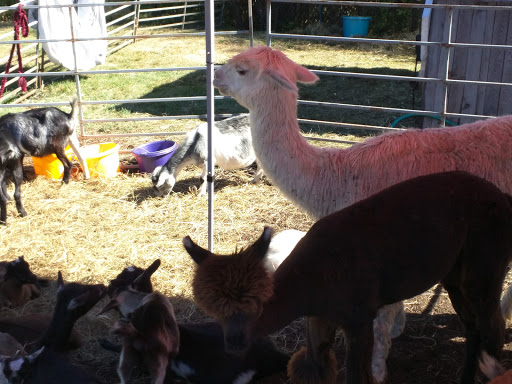 Outdoor Sports Store «Kittery Trading Post», reviews and photos, 301 US-1, Kittery, ME 03904, USA