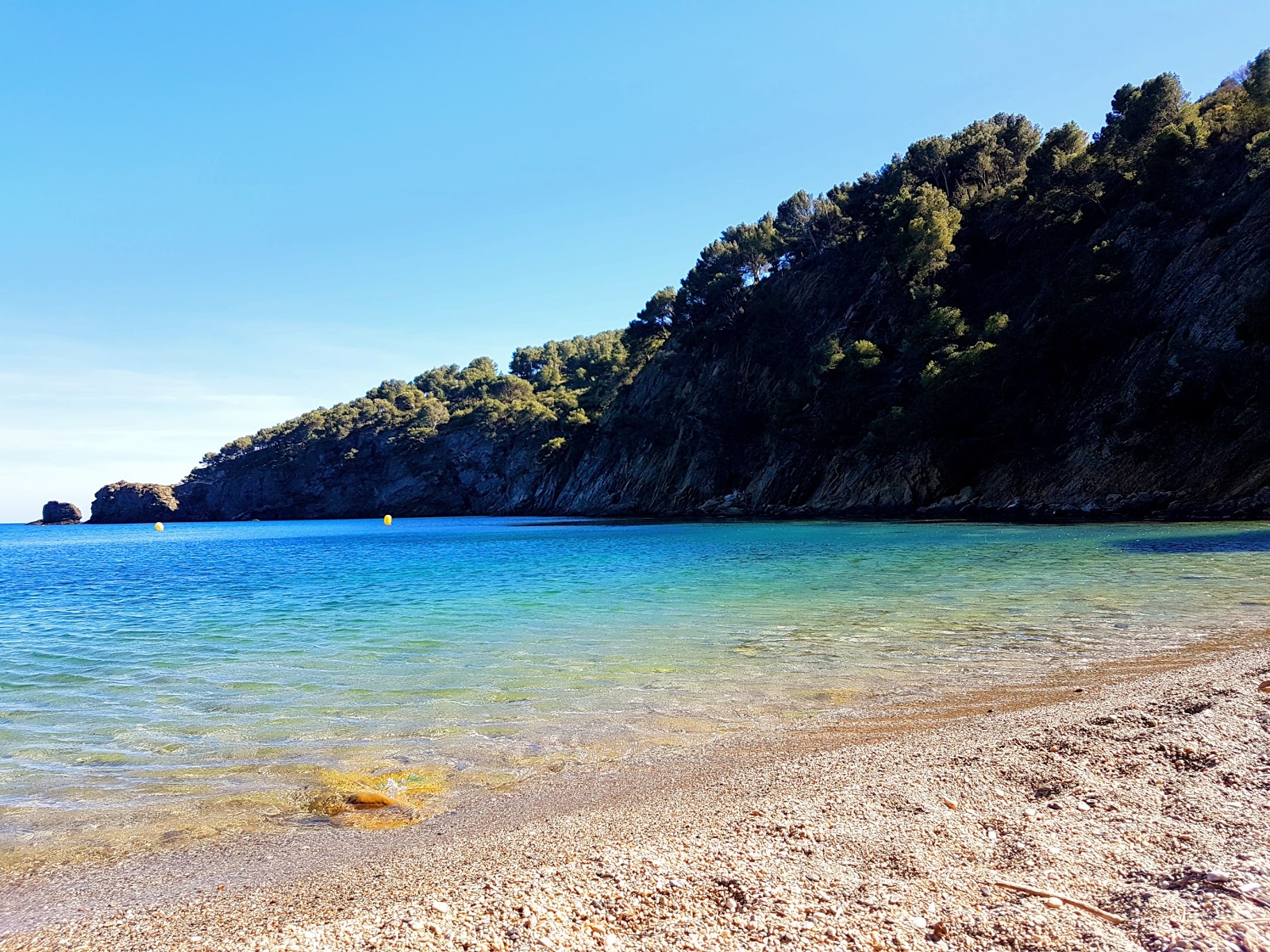 Photo de Cala Rostella avec un niveau de propreté de partiellement propre