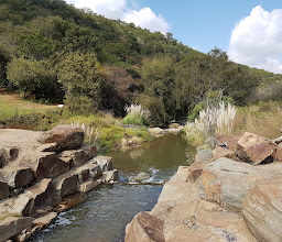 Braamfontein Spruit photo
