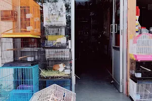 Manglam Pet Shop image