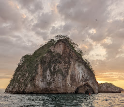Vallarta Yacht Company photo