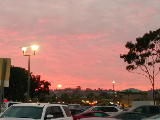 Nittis Tattoo Studio, 2375 Midway Dr, San Diego, CA 92110, USA, 