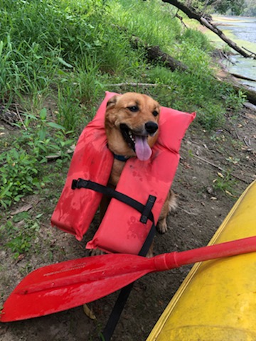 Canoe & Kayak Store «Cannon Falls Canoe and Bike Rental», reviews and photos, 615 N 5th St, Cannon Falls, MN 55009, USA