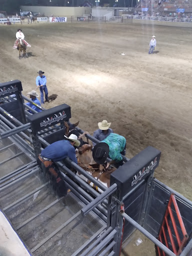 Movie Theater «Picture Show at Citadel Crossing», reviews and photos, 901 Academy Blvd N, Colorado Springs, CO 80909, USA