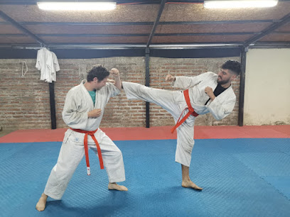 Gimnasio Artes Marciales en San Ramón