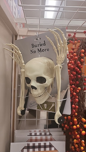 Department Store «Bealls Outlet», reviews and photos, 2738 W Hillsborough Ave, Tampa, FL 33614, USA