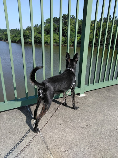 Campground «Winton Woods Campground», reviews and photos, 10245 Winton Rd, Cincinnati, OH 45231, USA