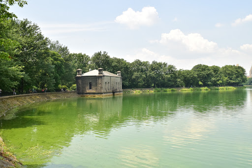 Movie Theater «Alpine Cinema», reviews and photos, 6817 5th Ave, Brooklyn, NY 11220, USA