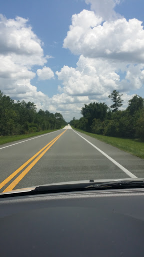 National Forest «Ocala National Forest», reviews and photos, 40929 FL-19, Umatilla, FL 32784, USA