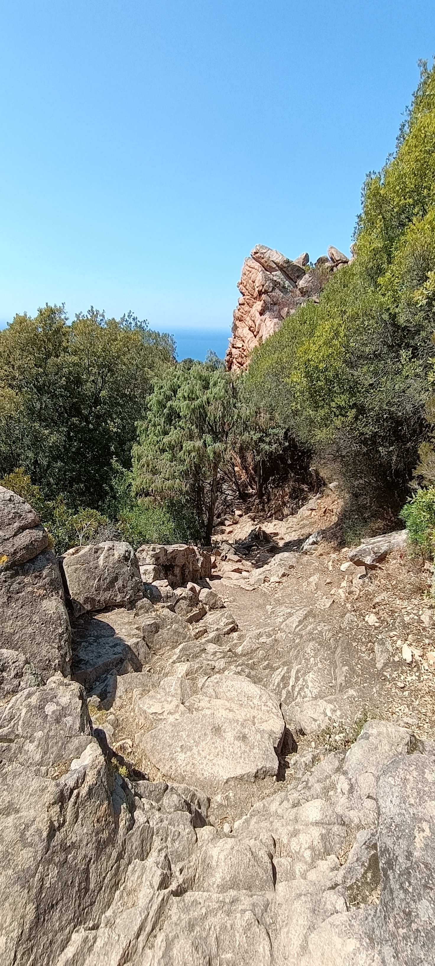 Photo n° 2 de l'avis de Benoist.i fait le 10/08/2022 à 13:10