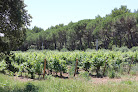 Château du Seuil Vins Coteaux Aix-en-Provence Domaine Viticole Vignoble Aix-en-Provence