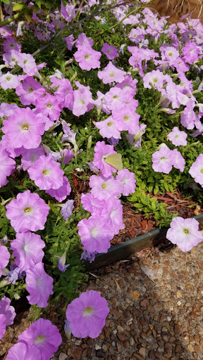 Tourist Attraction «GO USA Fun Park», reviews and photos, 2270 Armory Dr, Murfreesboro, TN 37129, USA