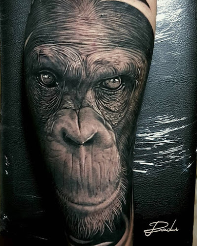 Artfaktors - Tattoostudio