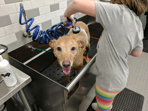 Pet Supply Store «Petco Animal Supplies», reviews and photos, 85 Godwin Ave #23, Midland Park, NJ 07432, USA