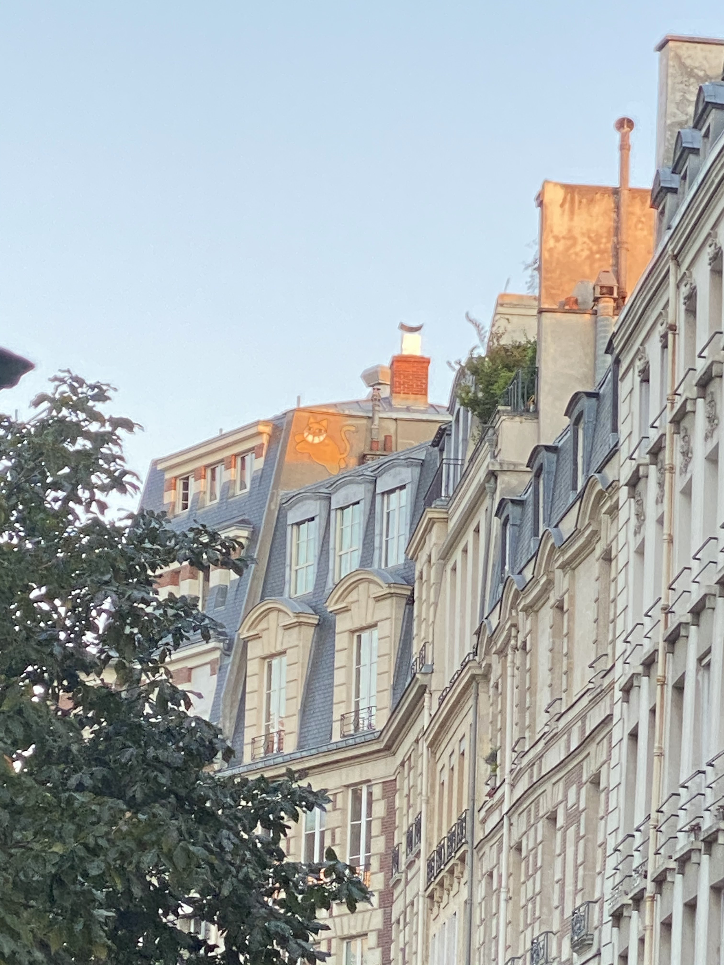 Photo n° 7 de l'avis de Agathe.o fait le 21/07/2020 à 21:15