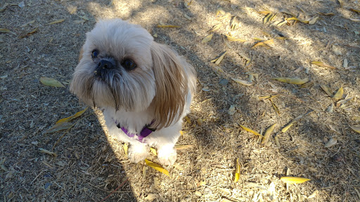 Park «Grover Basin Dog Park», reviews and photos, 17445 N 20th St, Phoenix, AZ 85022, USA