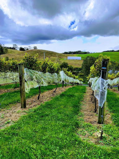 Winery «Banner Elk Winery & Villa», reviews and photos, 60 Deer Run Rd, Banner Elk, NC 28604, USA