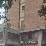 Photo n°1 de l'avis de Lelosi.s fait le 13/03/2023 à 15:47 sur le  Pizzeria Gi Bi à Perugia