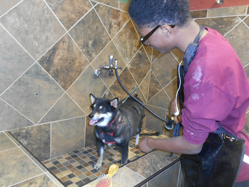 Pet Supply Store «Pet Valu», reviews and photos, 3475 Berlin Turnpike, Newington, CT 06111, USA