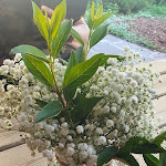 Photo n°3 de l'avis de Gabii.l fait le 03/07/2022 à 08:32 sur le  Walderhof - Restaurant und Appartements à Natz-Schabs