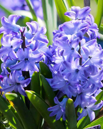 Home Improvement Store «Junction True Value Hardware», reviews and photos, 4747 44th Ave SW, Seattle, WA 98116, USA