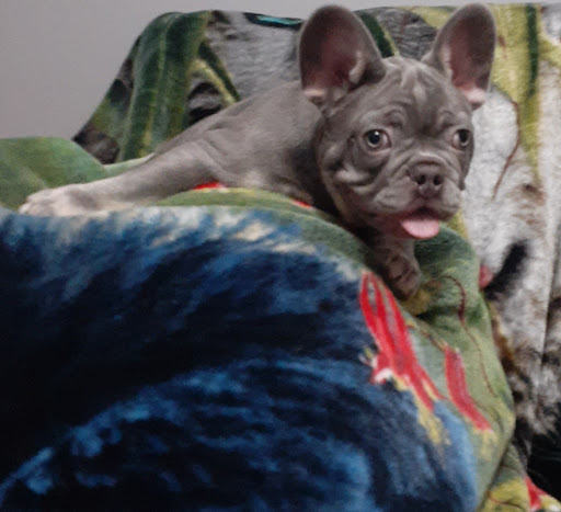 Pet Supply Store «Petco Animal Supplies», reviews and photos, 300 Quaker Ln #3, Warwick, RI 02886, USA