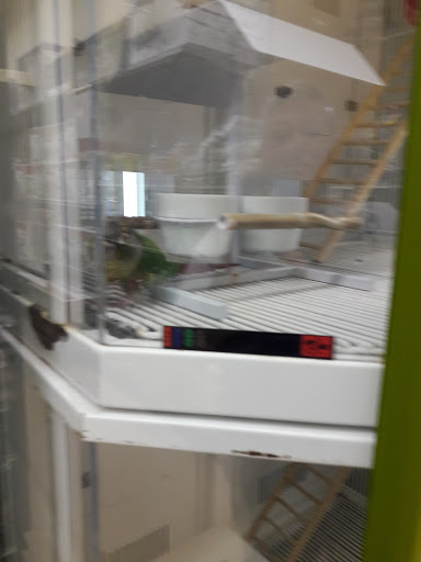 Pet Supply Store «Petco Animal Supplies», reviews and photos, 3055 N President George Bush Hwy, Garland, TX 75040, USA