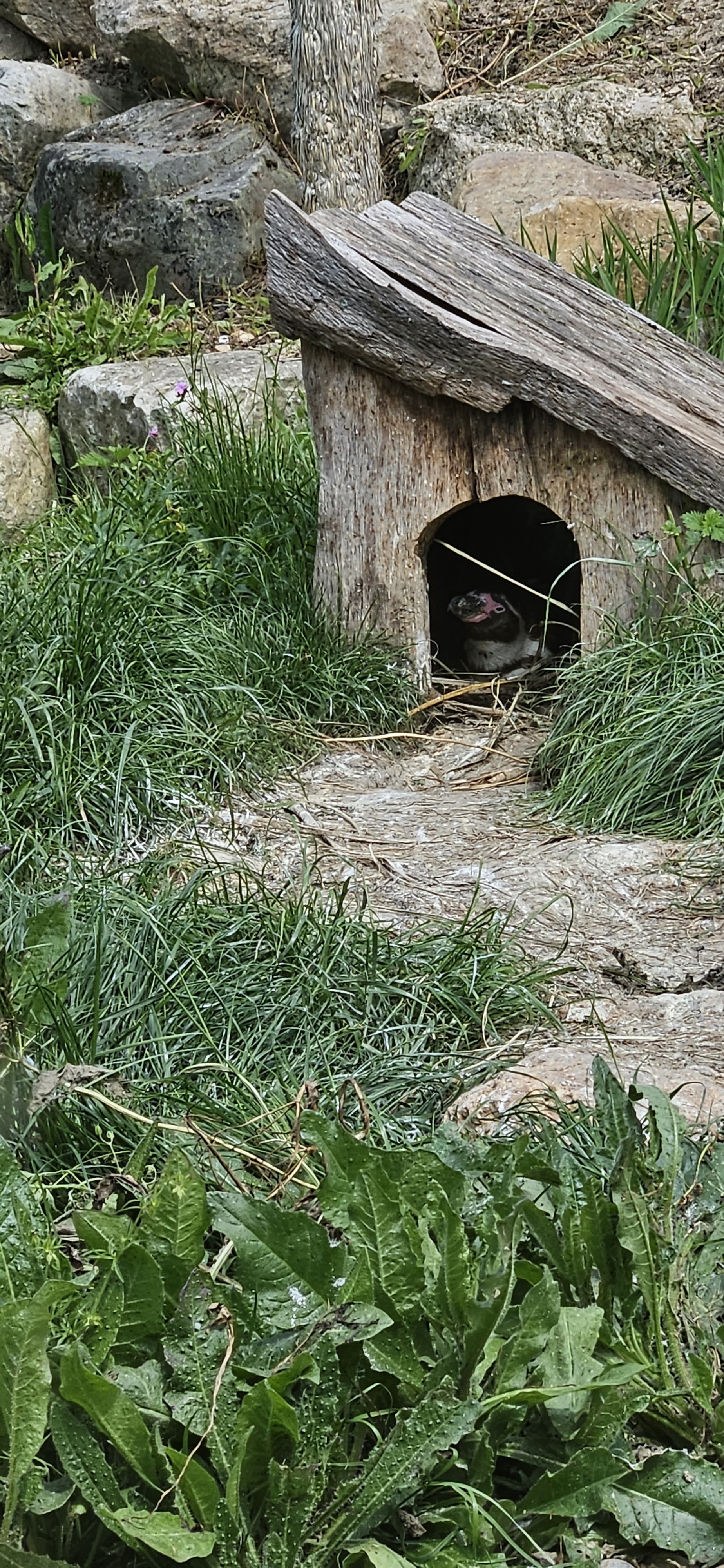 Photo n° 28 de l'avis de GrainDartiste.. fait le 18/05/2023 à 13:48
