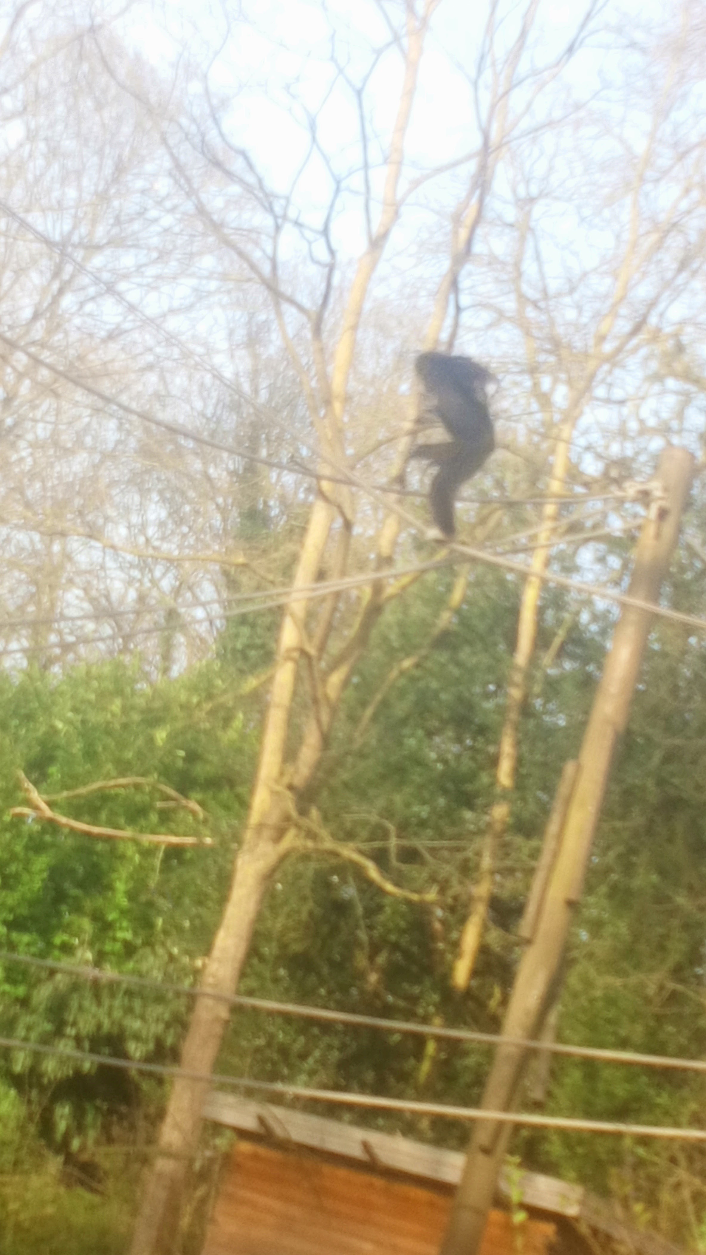 Photo n° 3 de l'avis de Kat.r fait le 24/08/2018 à 11:32