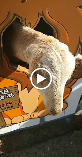 Amusement Center «Maris Farms», reviews and photos, 25001 Sumner Buckley Hwy, Buckley, WA 98321, USA