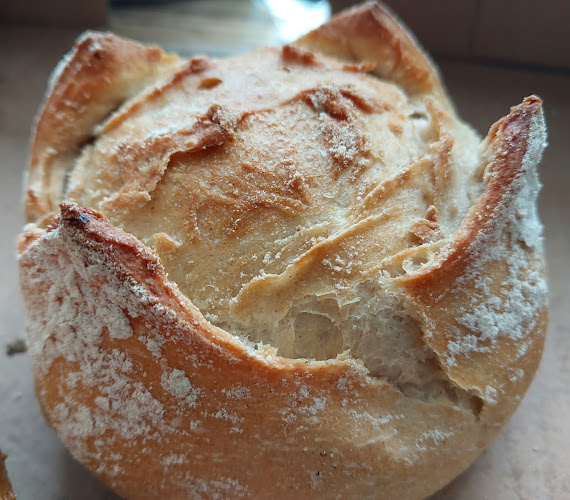 Dworkowa 15, 80-774 Gdańsk