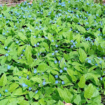 Photo n°12 de l'avis de Lothar.i fait le 17/04/2024 à 13:12 sur le  Panorama Hotel Winterberg à Winterberg