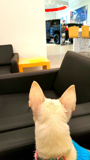 Nissan Dealer «McDonough Nissan», reviews and photos, 1775 Avalon Pkwy, McDonough, GA 30253, USA