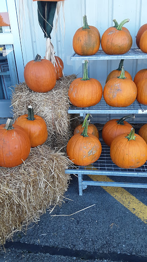 Home Improvement Store «The Home Depot», reviews and photos, 187 Roberts Ln, Manchester, TN 37355, USA