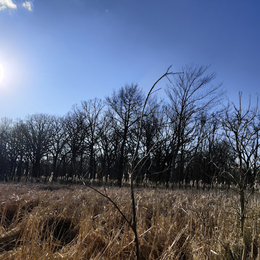 Nature Preserve «Lincoln Marsh», reviews and photos, Harrison Ave & Pierce Ave, Wheaton, IL 60187, USA