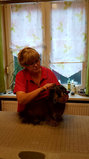 Hundesalon Embrah unter Oebisfelde, 