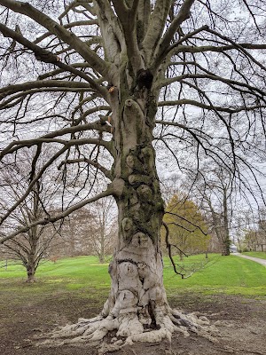 The Elms - photo 41