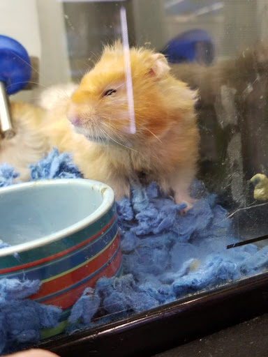 Pet Supply Store «Petco Animal Supplies», reviews and photos, 28400 Dequindre Rd, Warren, MI 48092, USA