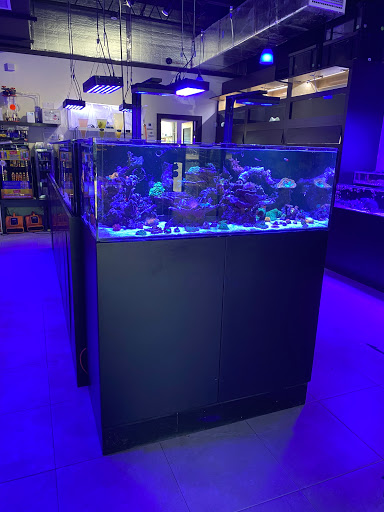 Pet Store «Ocean View Aquariums», reviews and photos, 6883 SW 40th St, Miami, FL 33155, USA