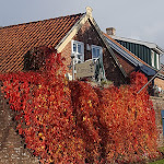 Photo n°1 de l'avis de L... fait le 15/10/2021 à 17:38 sur le  Dattein à Neuharlingersiel