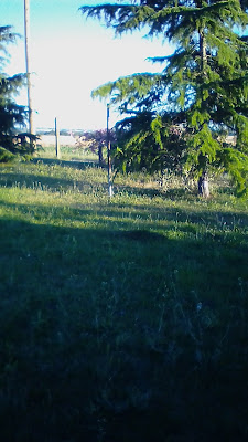 Stade du Rugby Club Bournazel à Bournazel