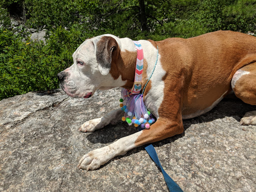 Tourist Attraction «Ice Caves», reviews and photos, Sams Point Rd, Pine Bush, NY 12566, USA