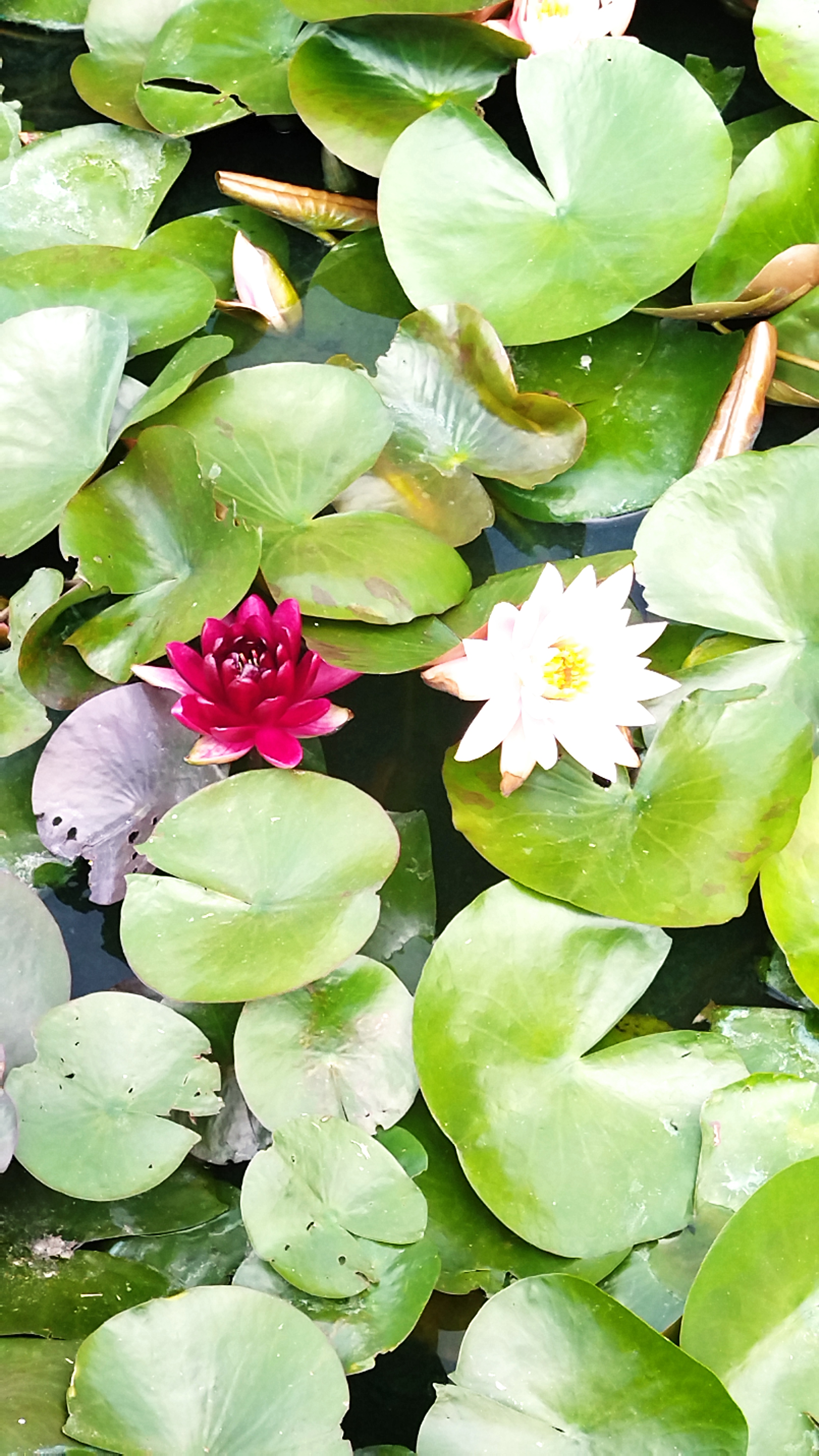 Photo n° 1 de l'avis de Laurence.a fait le 13/07/2023 à 22:46